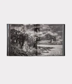 Women Lucchese Books|Books*David Yarrow Story Telling Book