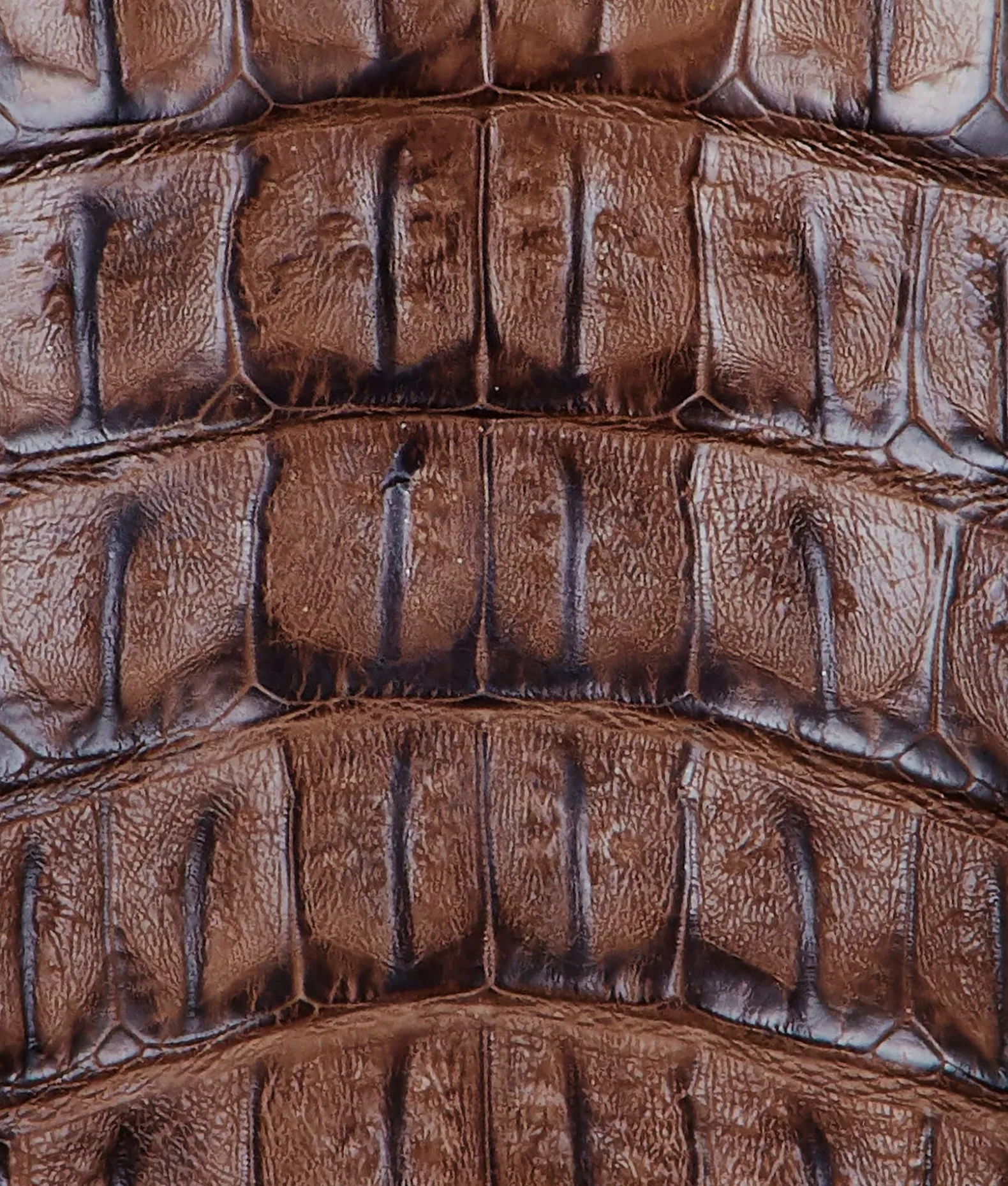 BOY Lucchese Horseman|Cowboy*Fisher