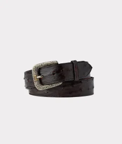Lucchese Belts & Belt Accessories*Full Quill Ostrich