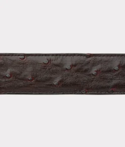 Lucchese Belts & Belt Accessories*Full Quill Ostrich