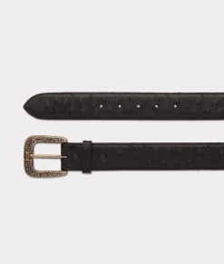 Lucchese Belts & Belt Accessories*Full Quill Ostrich