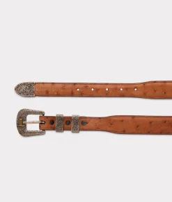 Women Lucchese Belts|Belts & Belt Accessories*Full Quill Ostrich Tapered