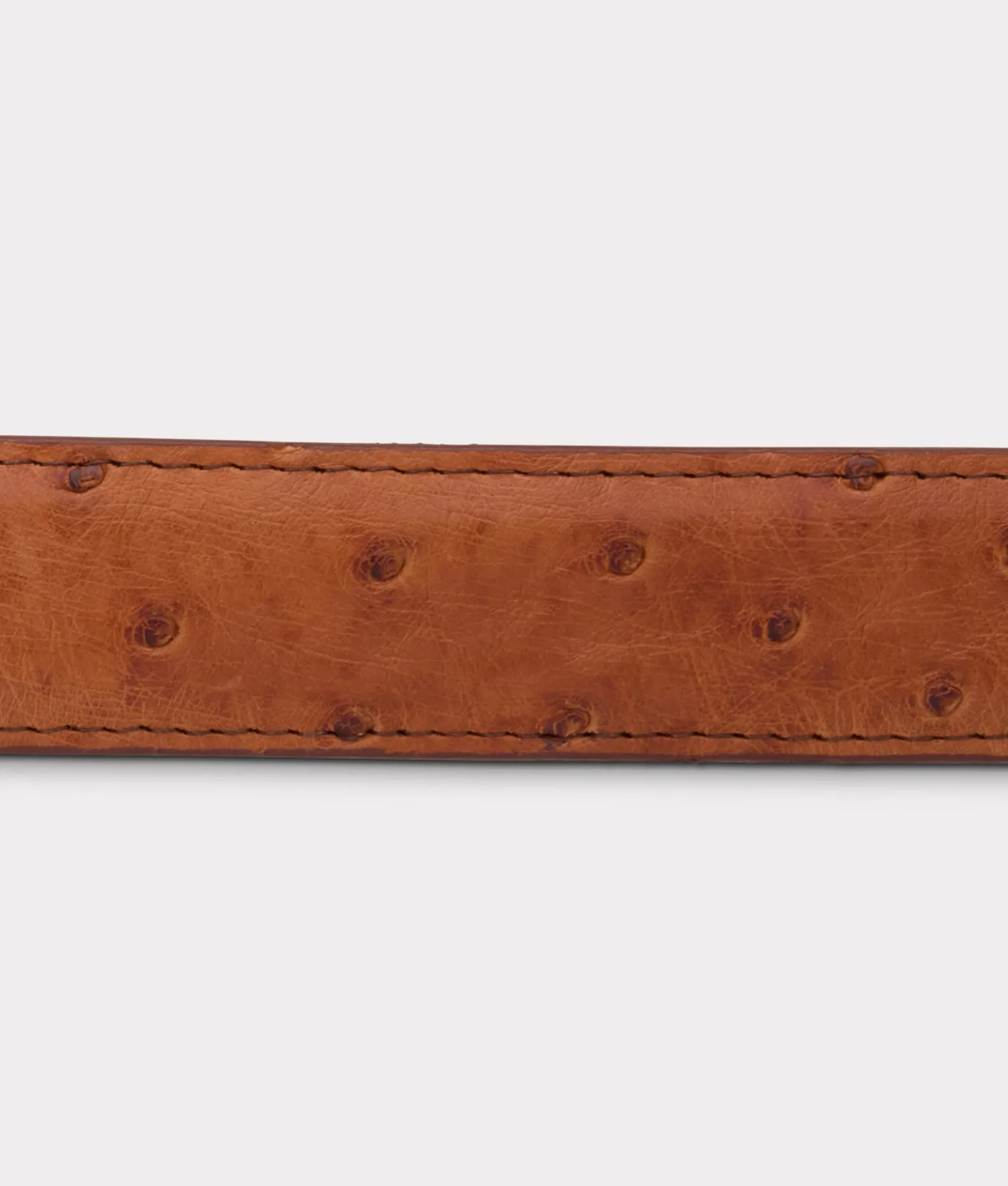 Women Lucchese Belts|Belts & Belt Accessories*Full Quill Ostrich Tapered