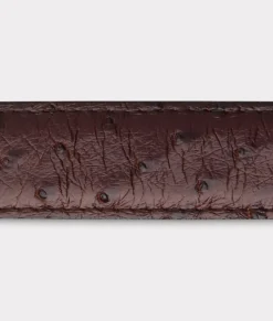 Women Lucchese Belts|Belts & Belt Accessories*Full Quill Ostrich Tapered