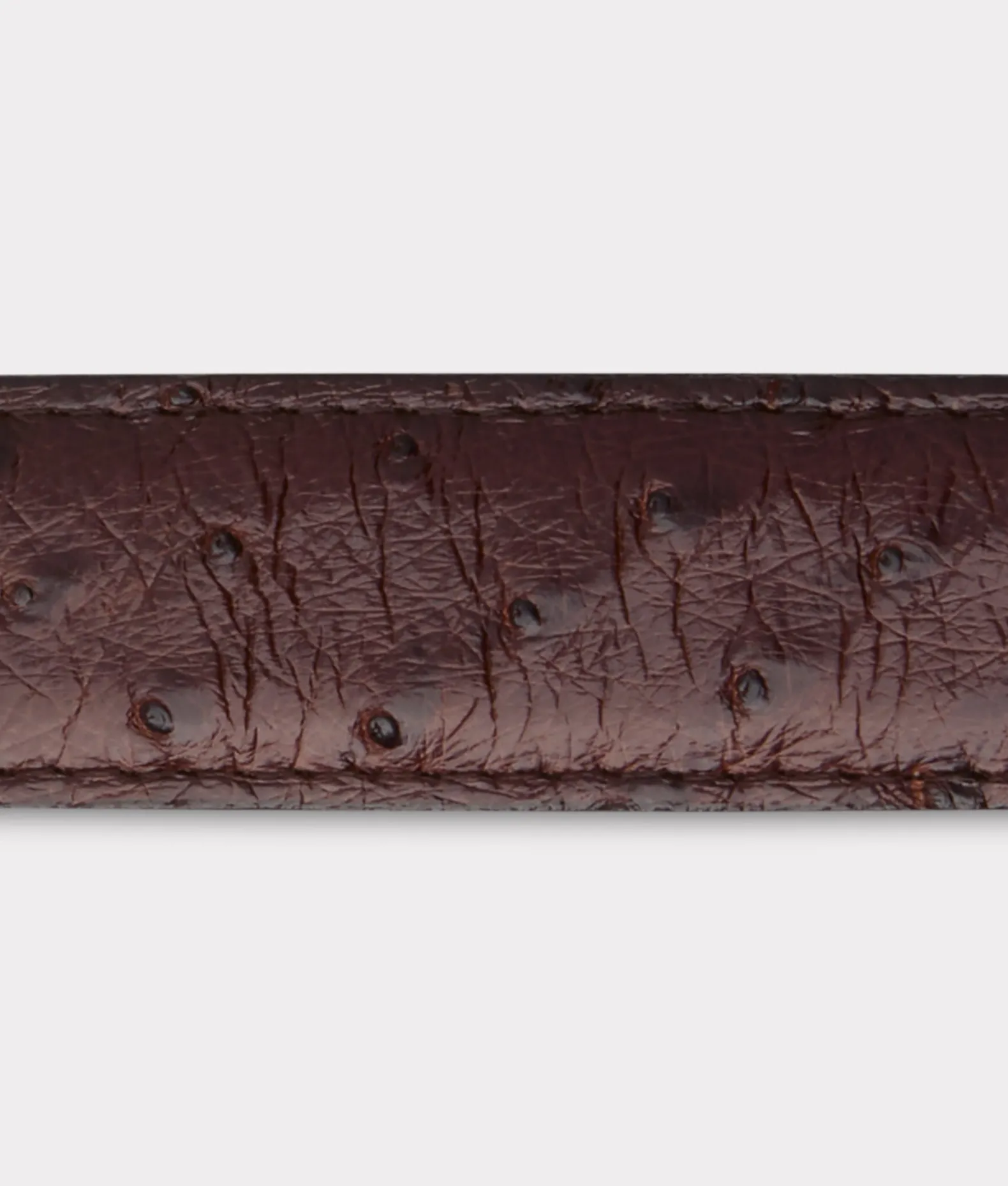 Women Lucchese Belts|Belts & Belt Accessories*Full Quill Ostrich Tapered