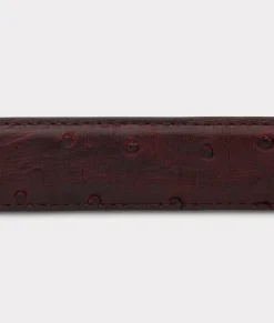 Women Lucchese Belts|Belts & Belt Accessories*Full Quill Ostrich Tapered