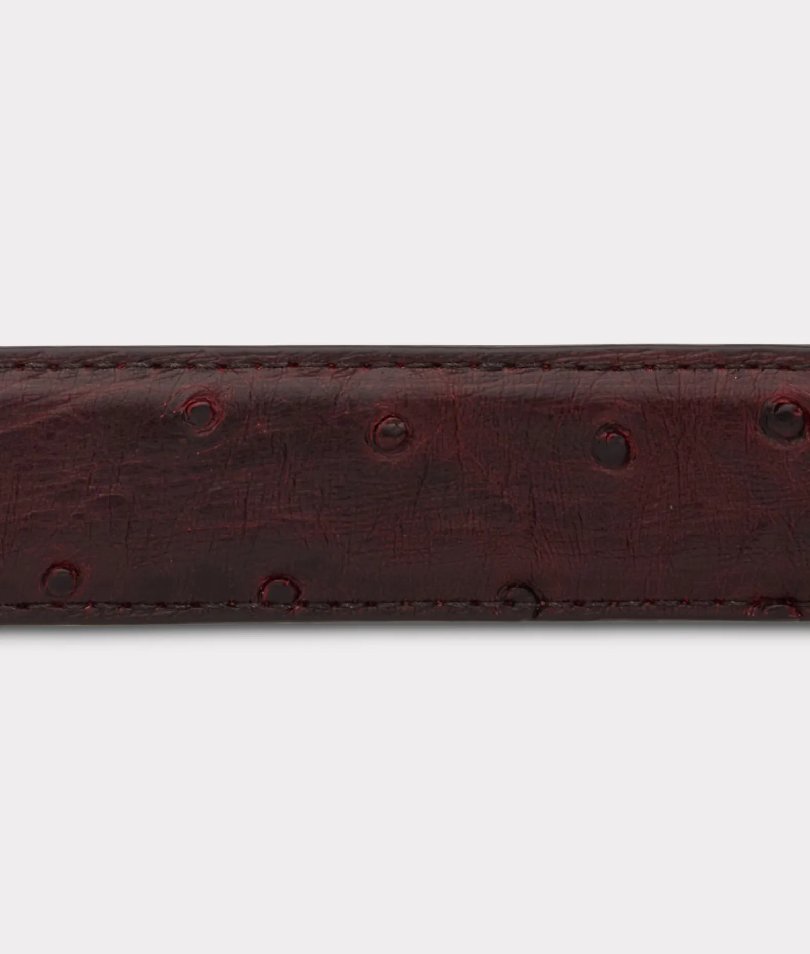 Women Lucchese Belts|Belts & Belt Accessories*Full Quill Ostrich Tapered