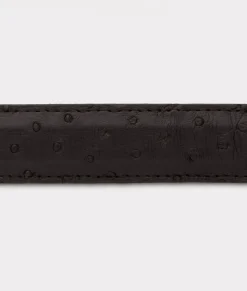Women Lucchese Belts|Belts & Belt Accessories*Full Quill Ostrich Tapered