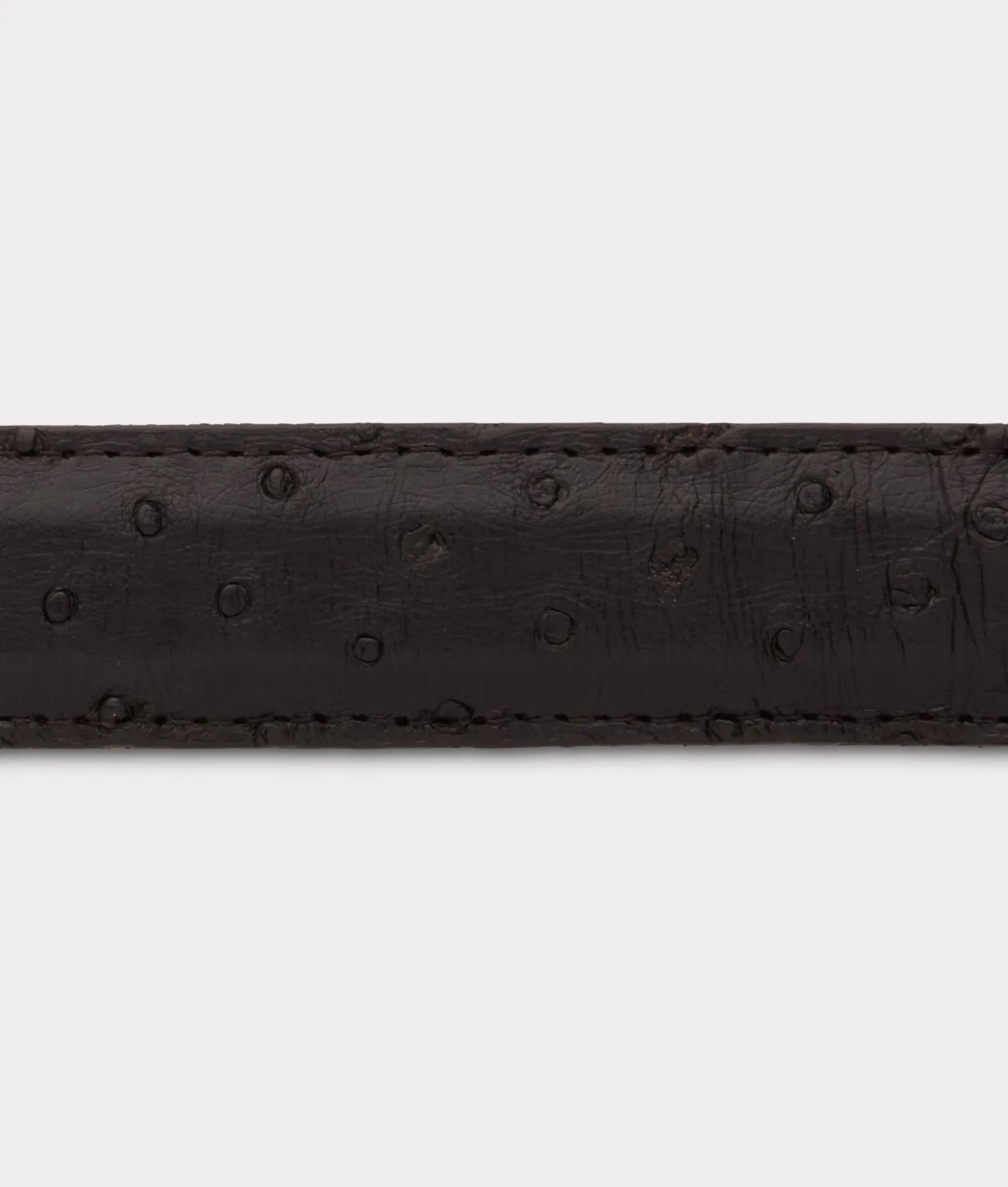 Women Lucchese Belts|Belts & Belt Accessories*Full Quill Ostrich Tapered