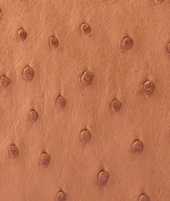 Women Lucchese Handbags*Joni Exotic Baguette