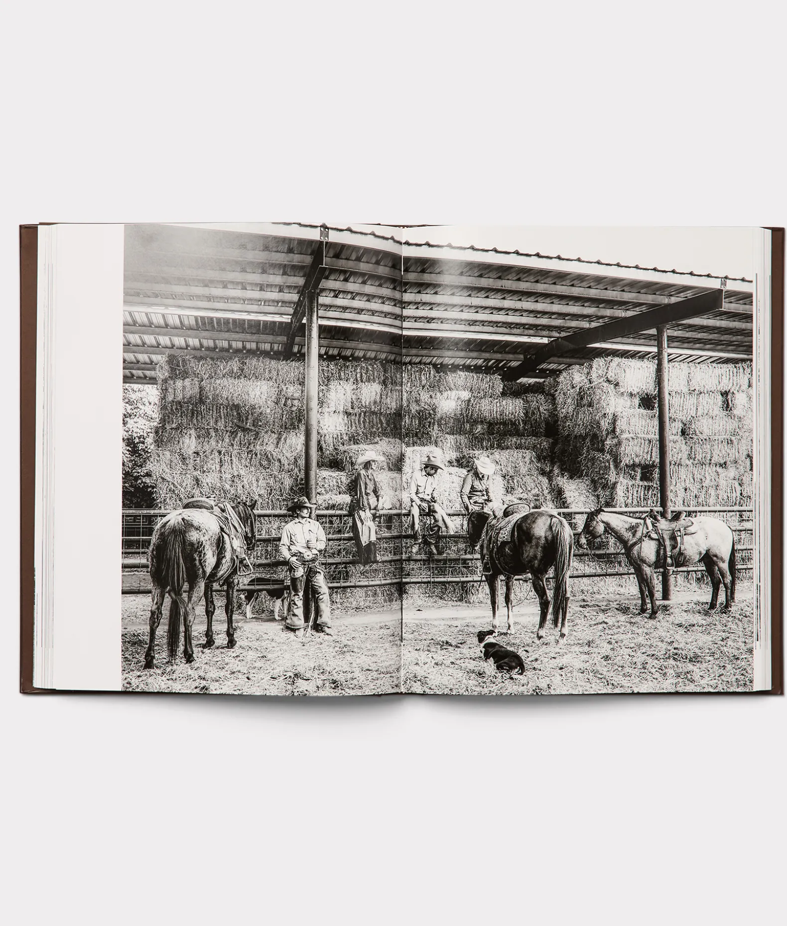 Women Lucchese Books|Books*Leather Bound Cowboy Book