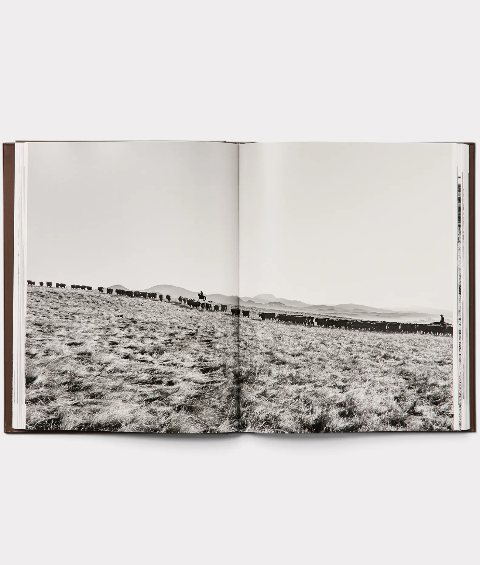 Women Lucchese Books|Books*Leather Bound Cowboy Book