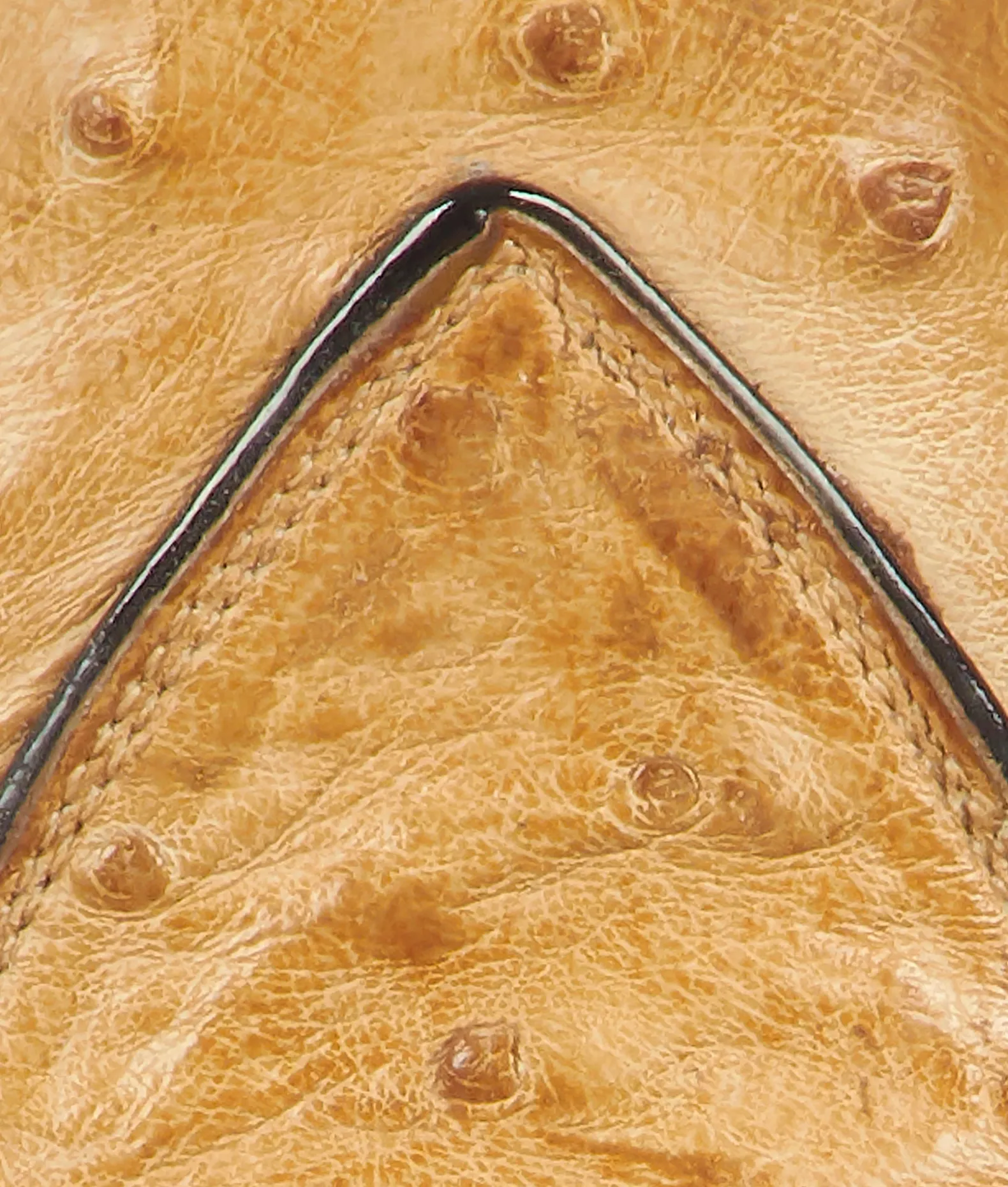 Women/BOY Lucchese Tall|Cowboy*Marylin