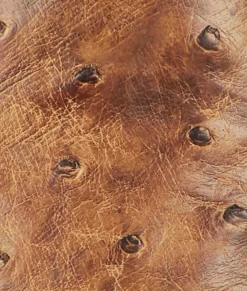 BOY Lucchese Cowboy*Nopales