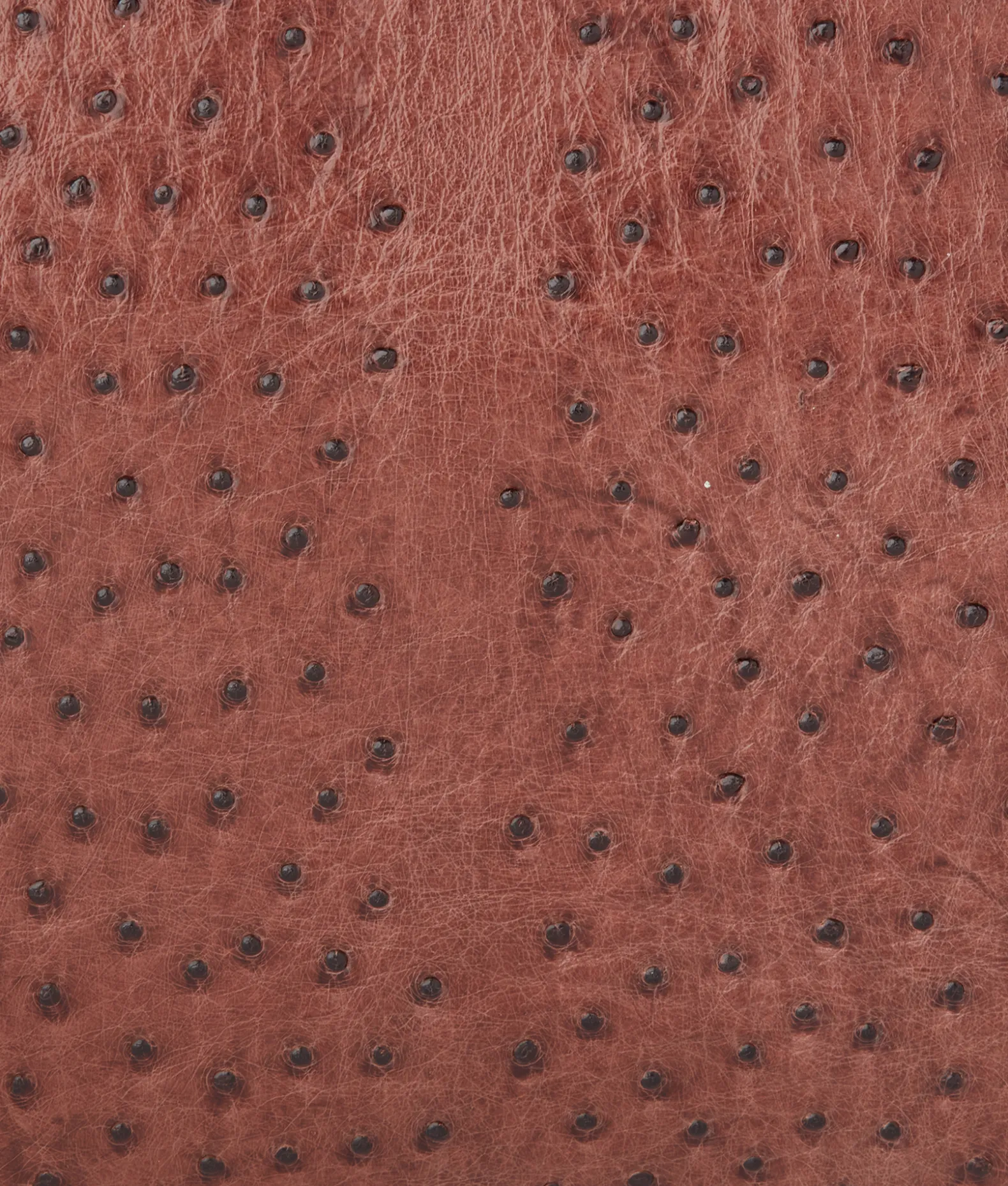 Women Lucchese Travel|Travel*Ostrich Duffle - Large