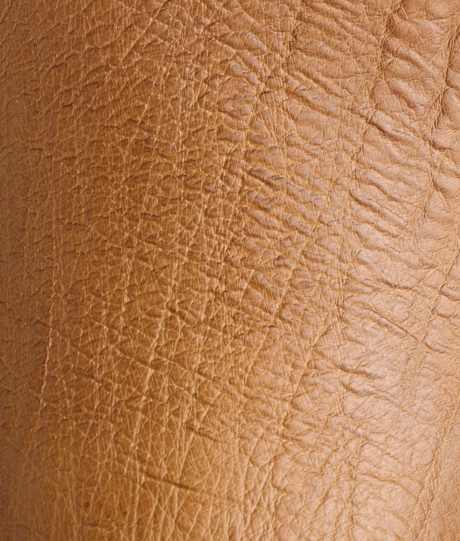 Lucchese After Ride*Ridgeline Exotic Chukka Boot