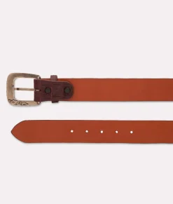 Lucchese Belts & Belt Accessories*Ultra Belly Caiman